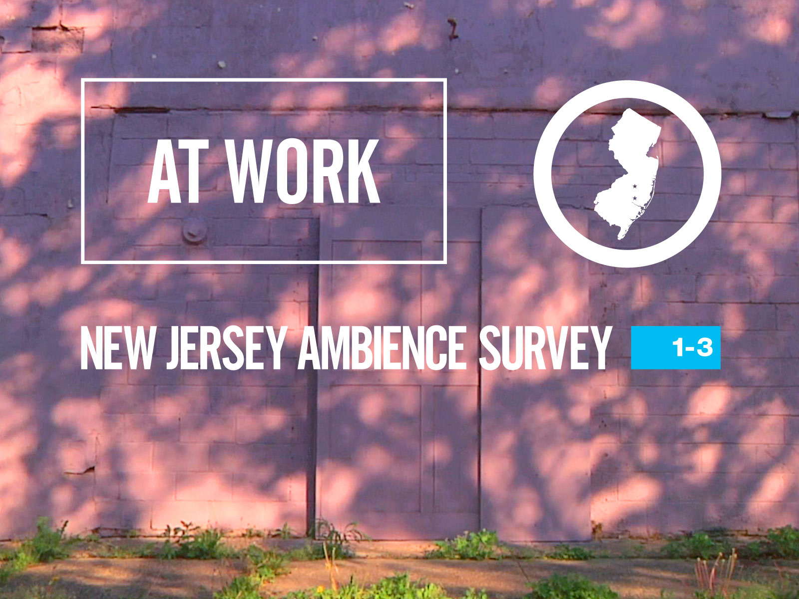 At Work: New Jersey Ambience Survey